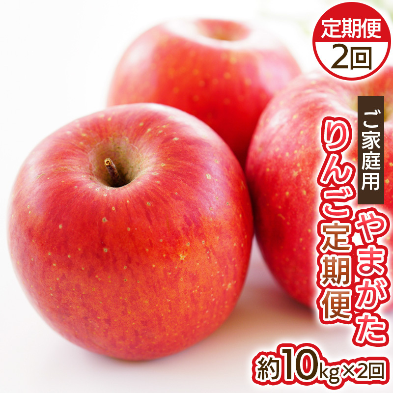 【定期便2回】ご家庭用 やまがたりんご定期便 FY25-037山形県山形市29000果物・フルーツりんご・梨