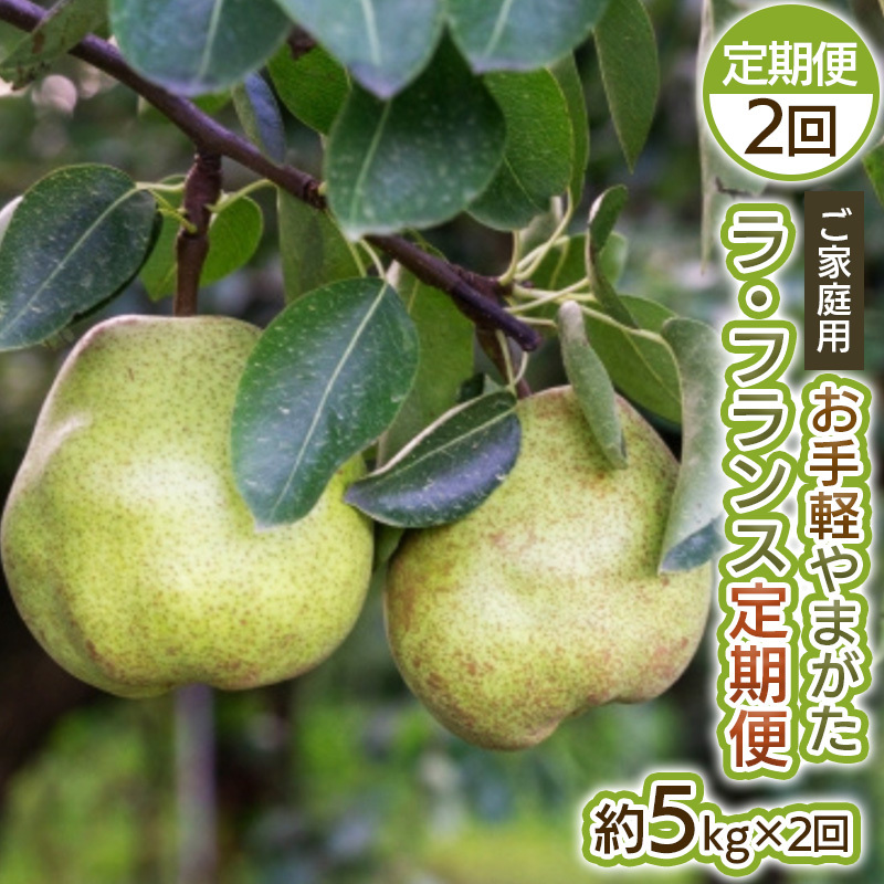 【定期便2回】お手軽 ご家庭用 やまがたラ・フランス 5kg×2回 FY25-039山形県山形市24000果物・フルーツりんご・梨