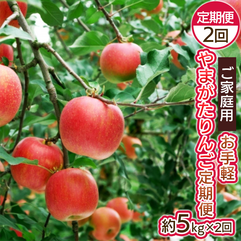 y2zy ƒp ܂񂲒 FY25-046R`R`s20000ʕEt[c񂲁E