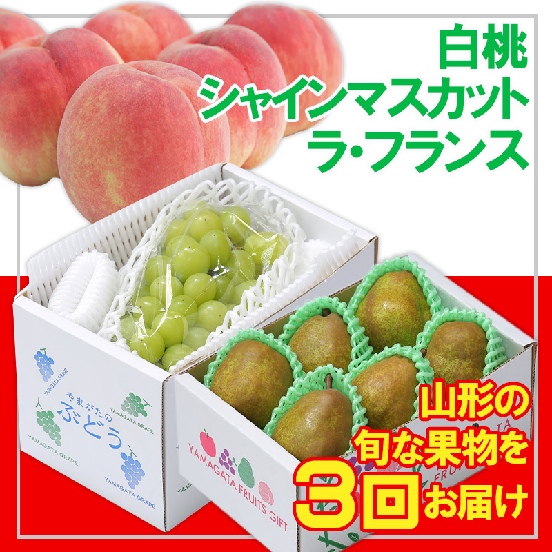 y3zt[cR`EVC}XJbgEtX FY25-053R`R`s30000ʕEt[cE