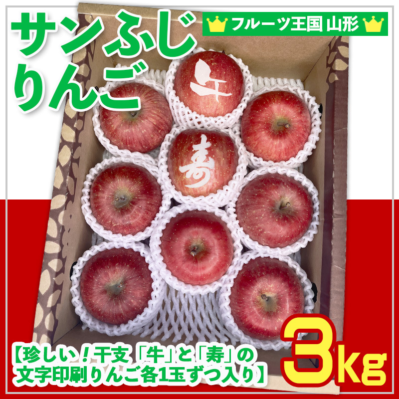 ☆フルーツ王国山形☆ りんご (サンふじ)【珍しい!”干支 (午)”と”寿”の文字印刷りんごが各1玉ずつ入り】 秀品 3kg (8〜11玉) FY25-060山形県山形市13000果物・フルーツりんご・梨