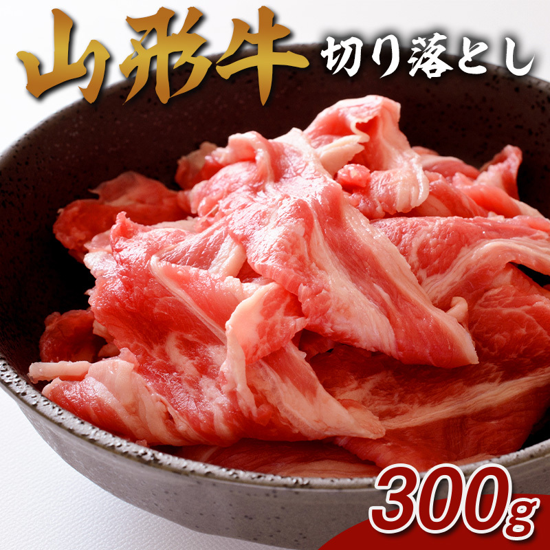 R` ؂藎Ƃ 300g FY25-072R`R`s9000