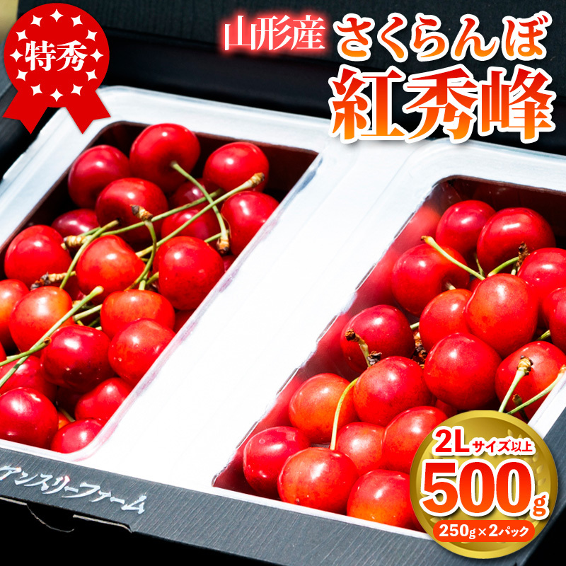 さくらんぼ 「紅秀峰」500g 特秀品 2Lサイズ以上 山形産【令和8年産先行予約】 FS25-926山形県山形市23000果物・フルーツさくらんぼ