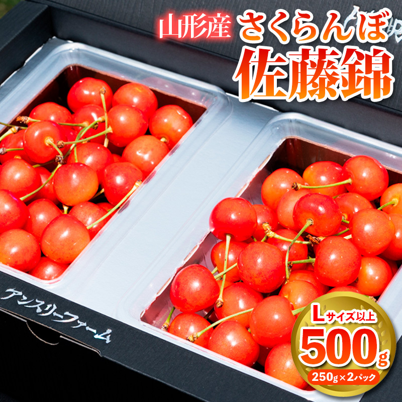 さくらんぼ 「佐藤錦」500g Lサイズ以上 山形産【令和8年産先行予約】 FS25-927山形県山形市12000果物・フルーツさくらんぼ