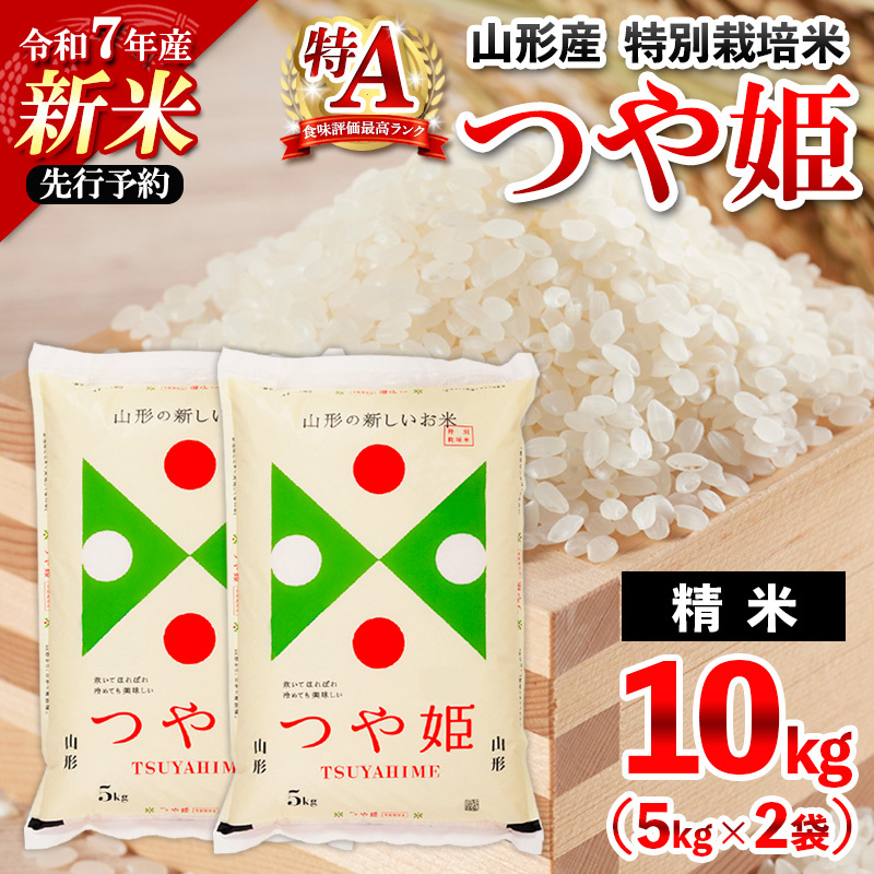s\ ߘa7NY V R`Y ʍ͔| P()10kg(5kg×2)y11z FZ25-082R`R`s31000āEp