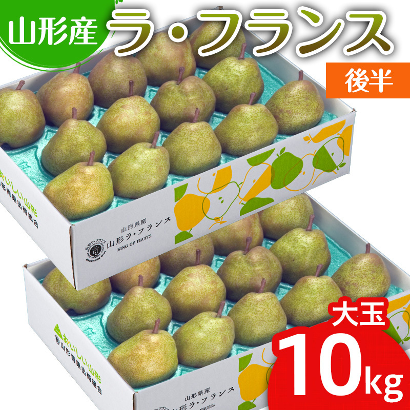 R`̃EtX 10kg(20`28) 㔼 FY25-112R`R`s16000ʕEt[c񂲁E