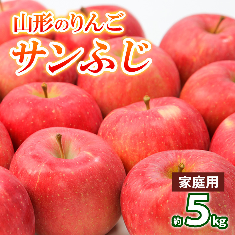 【家庭用】山形のりんご サンふじ 約5kg(10〜20個) FY25-128山形県山形市10000果物・フルーツりんご・梨