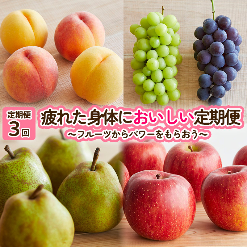 【定期便3回】疲れた身体においしい定期便 〜フルーツからパワーをもらおう〜 FY25-253山形県山形市45000果物・フルーツもも・すもも