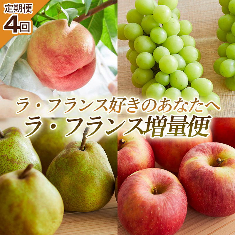 【定期便4回】ラ・フランス好きのあなたへ ラ・フランス増量便 FY25-222山形県山形市55000果物・フルーツマスカット・ぶどう