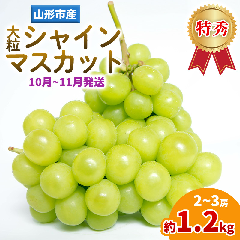 山形産 大粒シャインマスカット 約1.2kg(2〜3房)(10〜11月発送分) FY25-283山形県山形市21000果物・フルーツマスカット・ぶどう