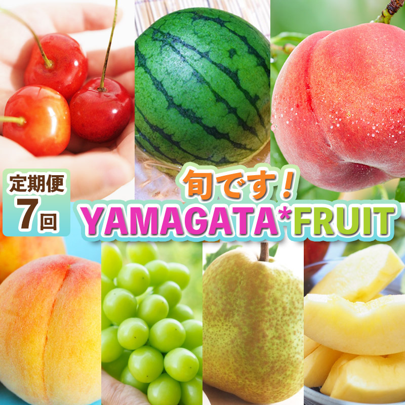 【定期便7回】旬です!YAMAGATA*FRUIT FY25-285山形県山形市75000果物・フルーツもも・すもも