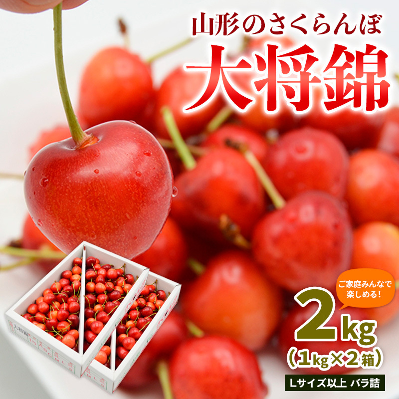 yƒ݂ȂŊy߂I2kgzR`̂ 叫 2kg LTCYȏ ol(1kg×2) yߘa8NYs\zFS25-008R`R`s34000ʕEt[c