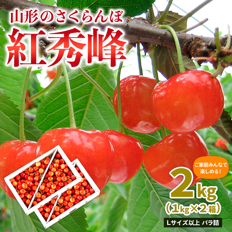 【ご家庭みんなで楽しめる!2kg】山形のさくらんぼ 紅秀峰 2kg Lサイズ以上 バラ詰 (1kg×2箱) 【令和8年産先行予約】FS25-010山形県山形市34000果物・フルーツさくらんぼ