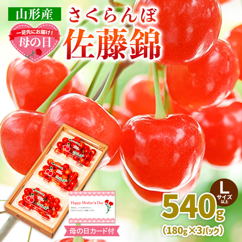 一足先にお届け!【母の日】さくらんぼ佐藤錦540gLサイズ以上(180g×3パック) 【令和8年産先行予約】FS25-014山形県山形市21000果物・フルーツさくらんぼ