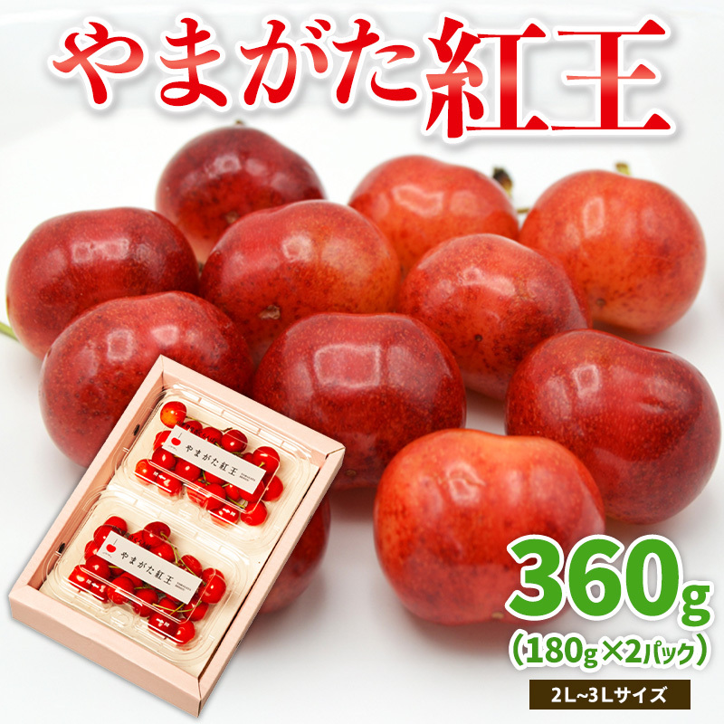 ܂g 360g 2`3LTCY (180g×2pbN) yߘa8NYs\zFS25-019R`R`s12000ʕEt[c
