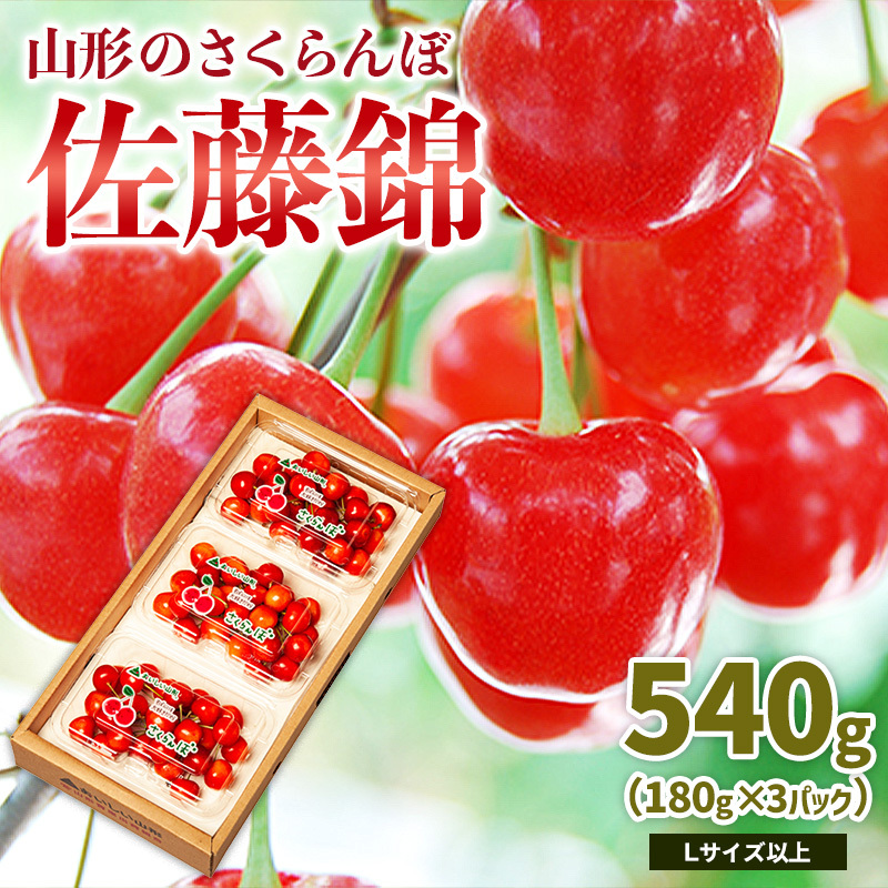 R`̂  540g LTCYȏ (180g×3pbN) yߘa8NYs\zFS25-024R`R`s12000ʕEt[c