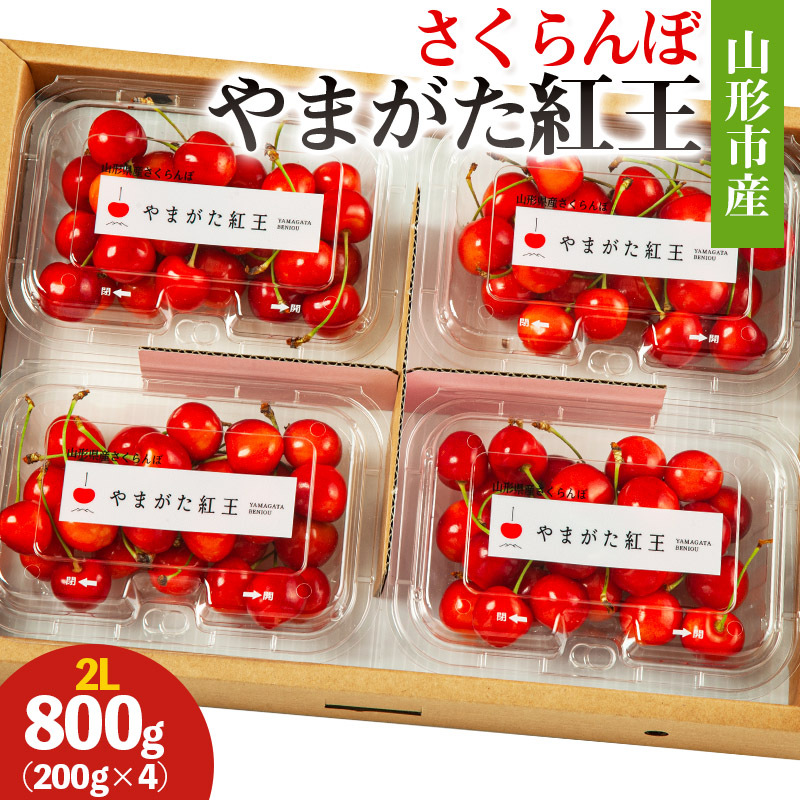 山形市産 さくらんぼ(やまがた紅王)2L 800g(200g×4) 【令和8年産先行予約】FS25-026山形県山形市18000果物・フルーツさくらんぼ