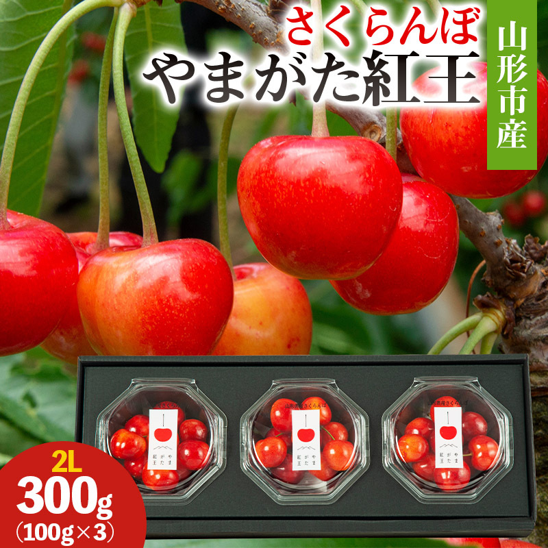 山形市産 さくらんぼ(やまがた紅王)2L 300g(100g×3) 【令和8年産先行予約】FS25-027山形県山形市13000果物・フルーツさくらんぼ
