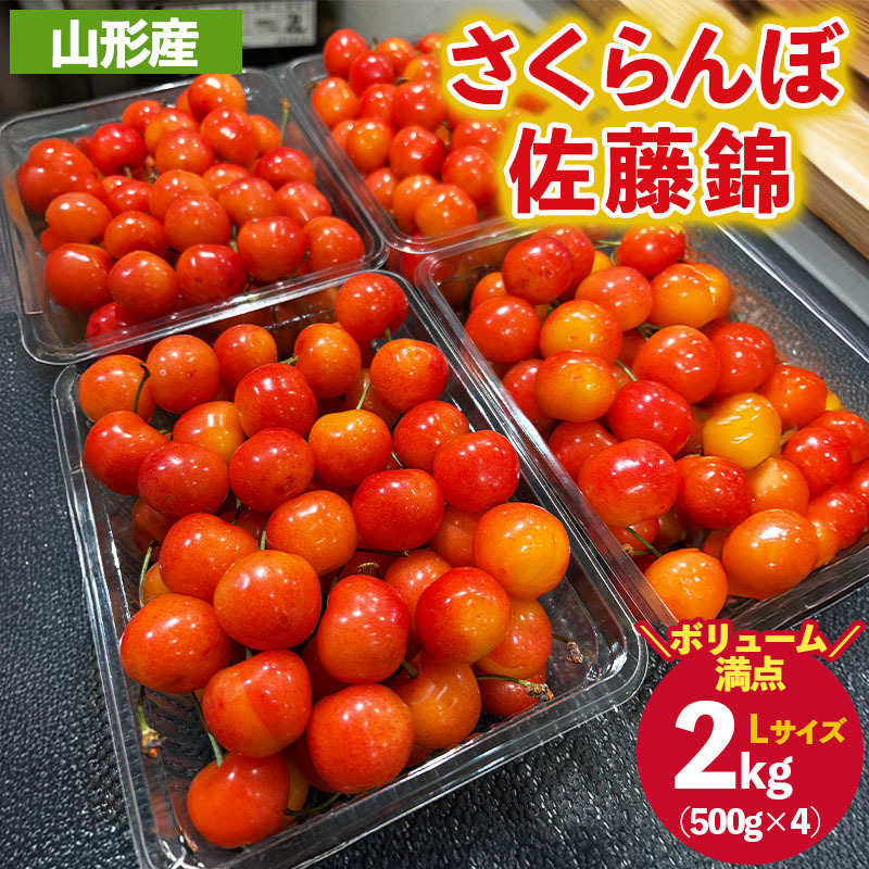 ご家庭みんなで楽しむ2kg!さくらんぼ 佐藤錦 Lサイズ 2kg (500g×4パック入り) 【令和8年産先行予約】FS25-031山形県山形市50000果物・フルーツさくらんぼ