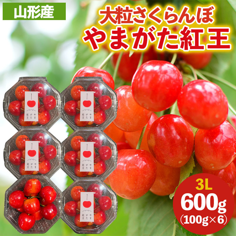 嗱̂ځu܂gv3LTCY 600g (100×UpbN) yߘa8NYs\zFS25-032R`R`s40000ʕEt[c