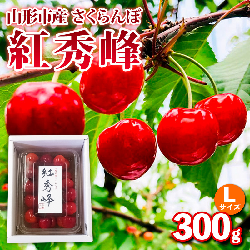 山形市産さくらんぼ【紅秀峰】Lサイズ 300g バラ詰め【令和8年産先行予約】FS25-034山形県山形市11000果物・フルーツさくらんぼ