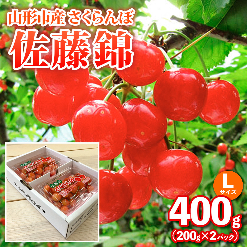 R`sYځyсzLTCY 400g(200g×2pbN) yߘa8NYs\zFS25-035R`R`s11000ʕEt[c