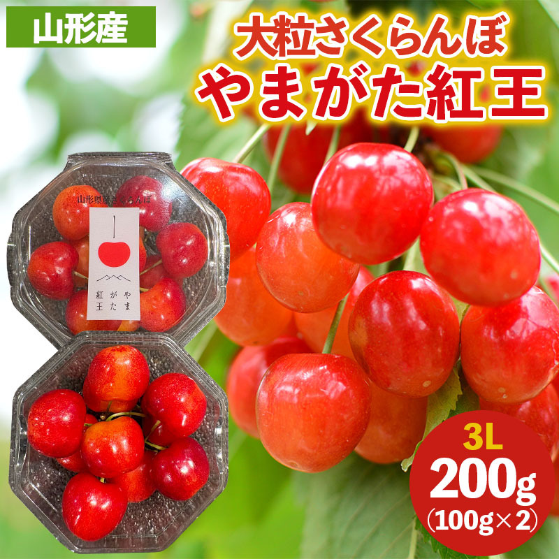 大粒のさくらんぼ やまがた紅王 3Lサイズ 200g (100g×2パック入り) 【令和8年産先行予約】FS25-038山形県山形市15000果物・フルーツさくらんぼ