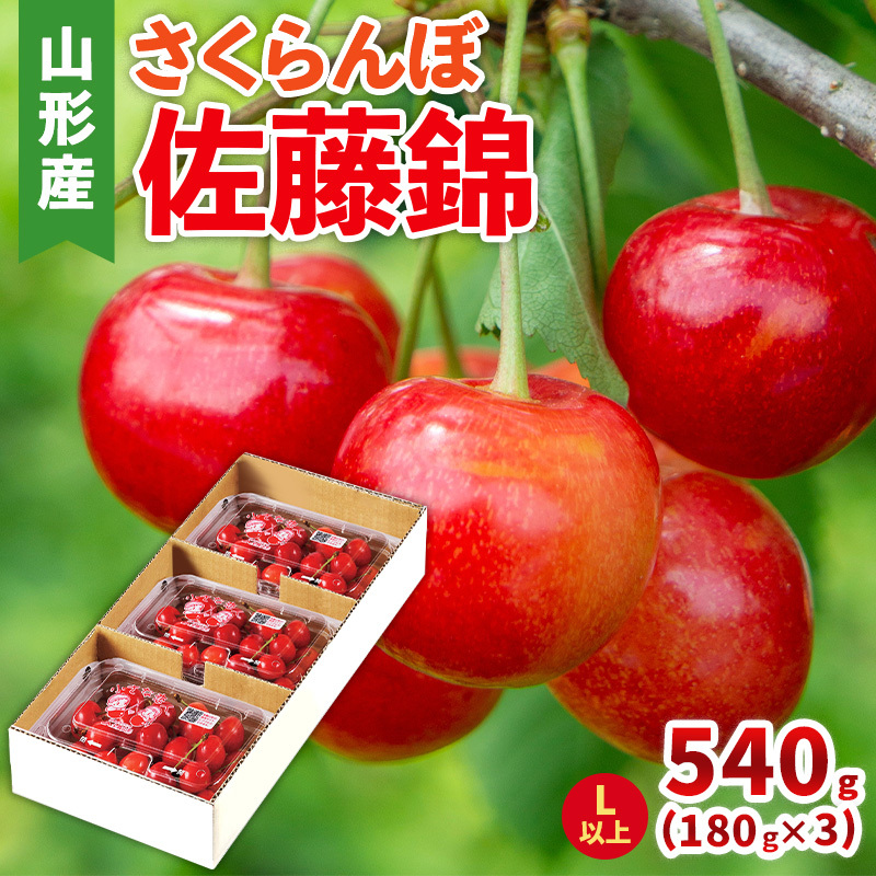 () LTCY 540g(180g×3pbN) yߘa8NYs\zFS25-045R`R`s13000ʕEt[c