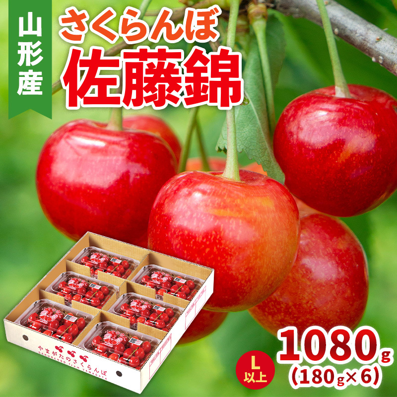 () LTCY 1080g(180g×6pbN)yߘa8NYs\zFS25-047R`R`s22000ʕEt[c