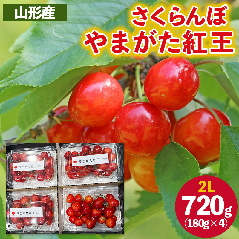 さくらんぼ ”やまがた紅王” 2Lサイズ 720g(180g×4パック) 【令和8年産先行予約】FS25-055山形県山形市25000果物・フルーツさくらんぼ