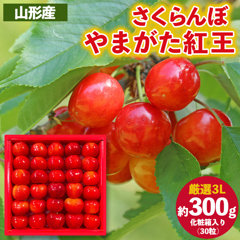 さくらんぼ ”やまがた紅王” 厳選 3Lサイズ 30粒 化粧箱入り(約300g) 【令和8年産先行予約】FS25-056山形県山形市50000果物・フルーツさくらんぼ