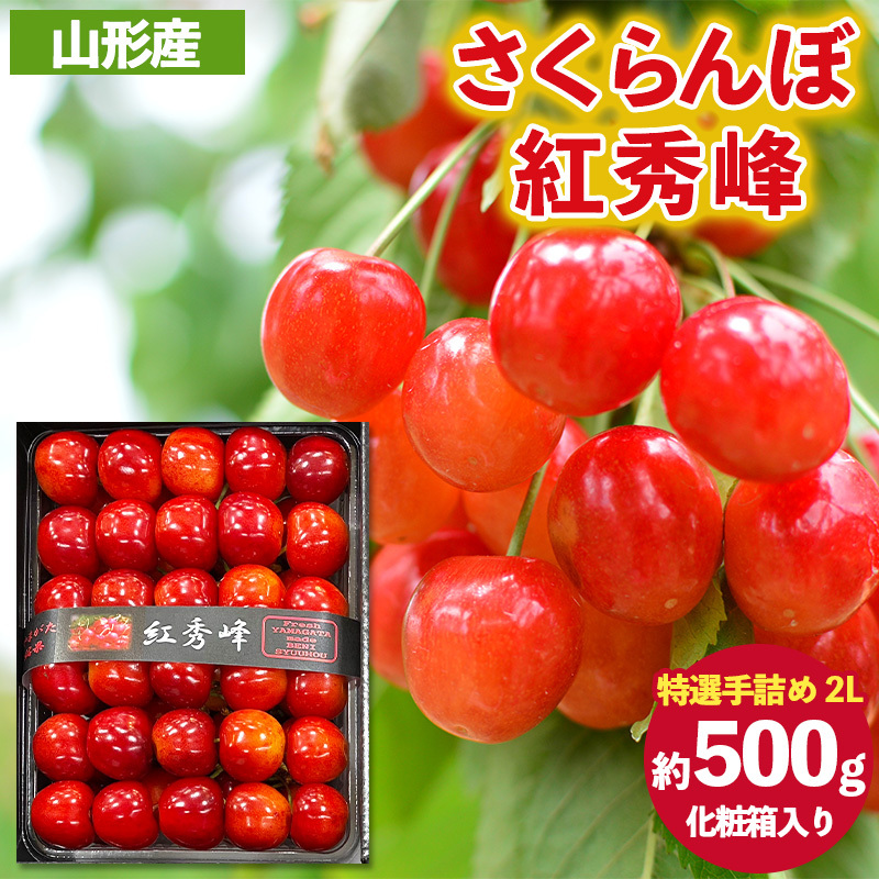 さくらんぼ 紅秀峰 ”特選手詰め” 2Lサイズ 化粧箱入り(約500g) 【令和8年産先行予約】FS25-057山形県山形市50000果物・フルーツさくらんぼ