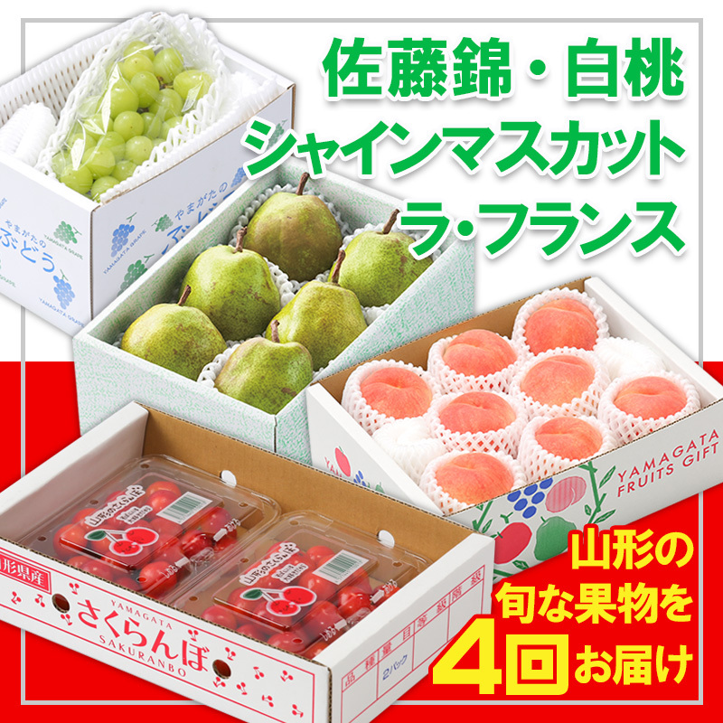 【定期便4回】☆フルーツ王国山形☆『佐藤錦、白桃、シャインマスカット、ラ・フランス』 FY25-308山形県山形市40000果物・フルーツマスカット・ぶどう