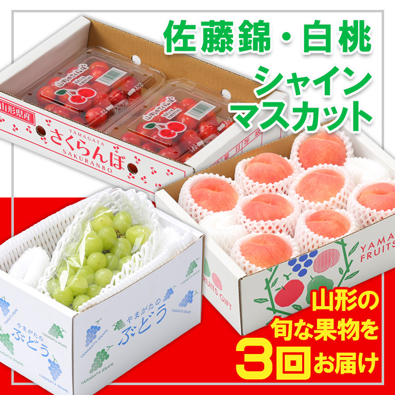 【定期便3回】☆フルーツ王国山形☆『佐藤錦、白桃、シャインマスカット』 FY25-313山形県山形市30000果物・フルーツもも・すもも