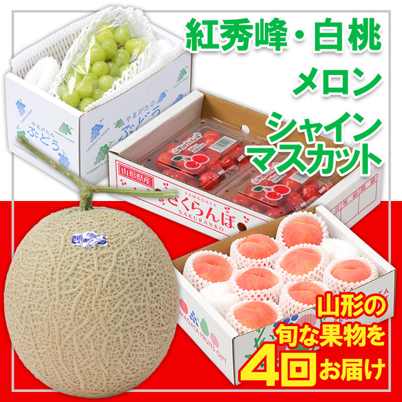 y4zt[cR`wgGAAAVC}XJbgx FY25-317R`R`s40000ʕEt[cE