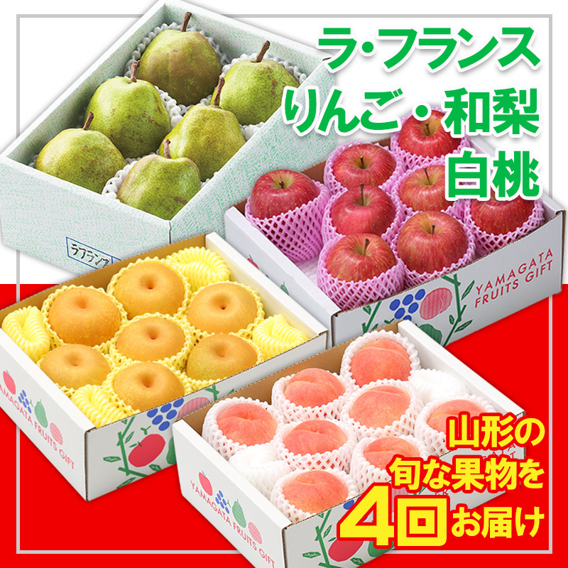 y4zt[cR`wEtXA񂲁AaAx FY25-319R`R`s40000ʕEt[c񂲁E