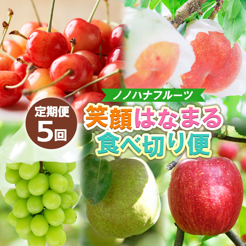 【定期便5回】ノノハナフルーツ 笑顔はなまる食べ切り便  FY25-328山形県山形市60000果物・フルーツもも・すもも