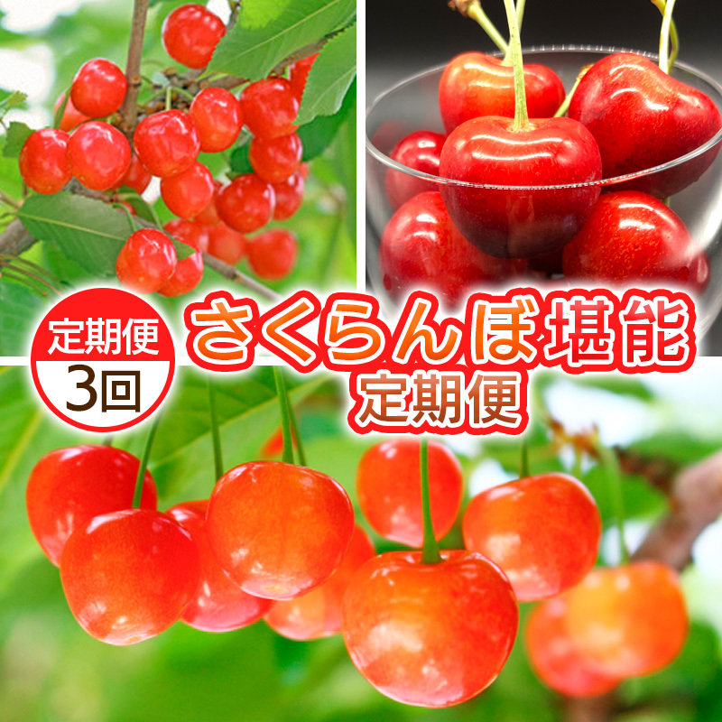 【定期便3回】さくらんぼ堪能定期便【令和8年産先行予約】FS25-062山形県山形市67000果物・フルーツさくらんぼ