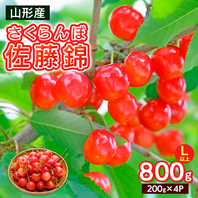 さくらんぼ Lサイズ以上 佐藤錦 800g(200g×4パック)【令和8年産先行予約】FS25-066山形県山形市27000果物・フルーツさくらんぼ