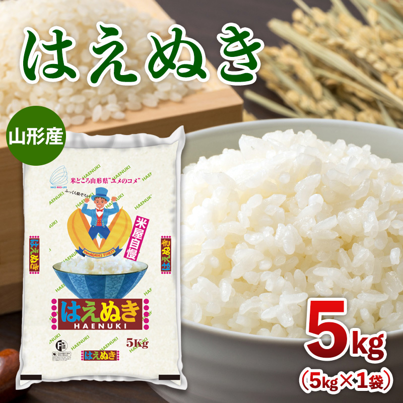 令和7年産 山形産 はえぬき 5kg FY25-350山形県山形市16000米・パン白米