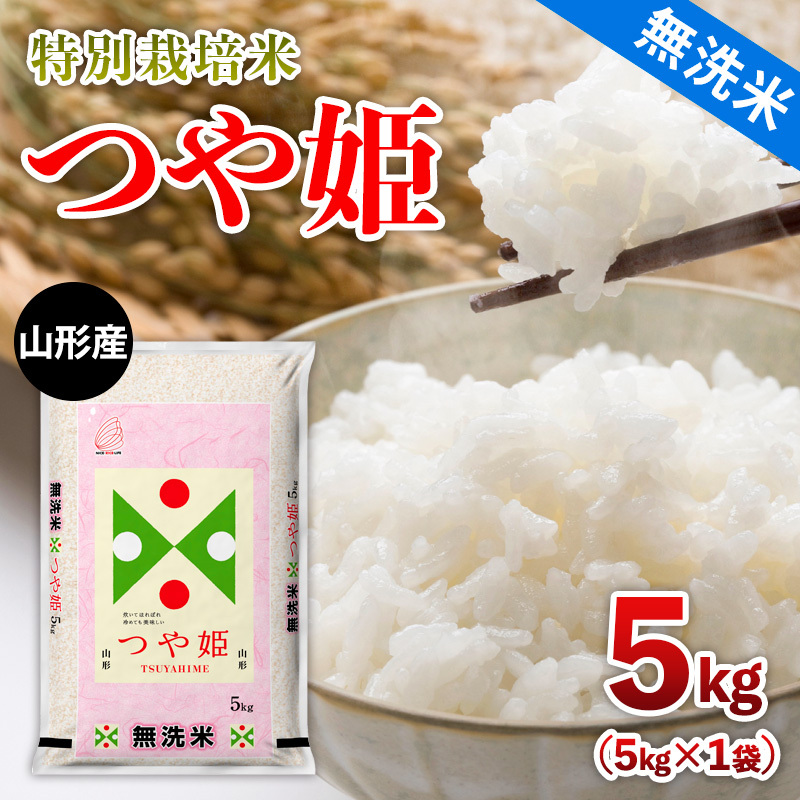ߘa7NY R`Y yāz ʍ͔| P 5kg FY25-354R`R`s18000āEp