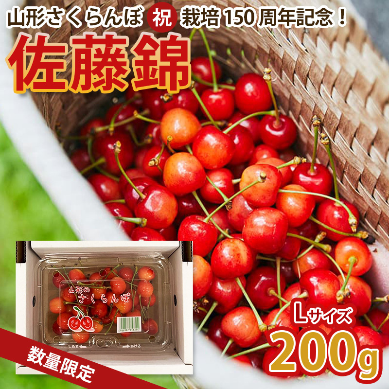 山形さくらんぼ (祝)栽培150周年記念!佐藤錦 200g L玉 数量限定!【令和8年産先行予約】FS25-060山形県山形市11000果物・フルーツさくらんぼ