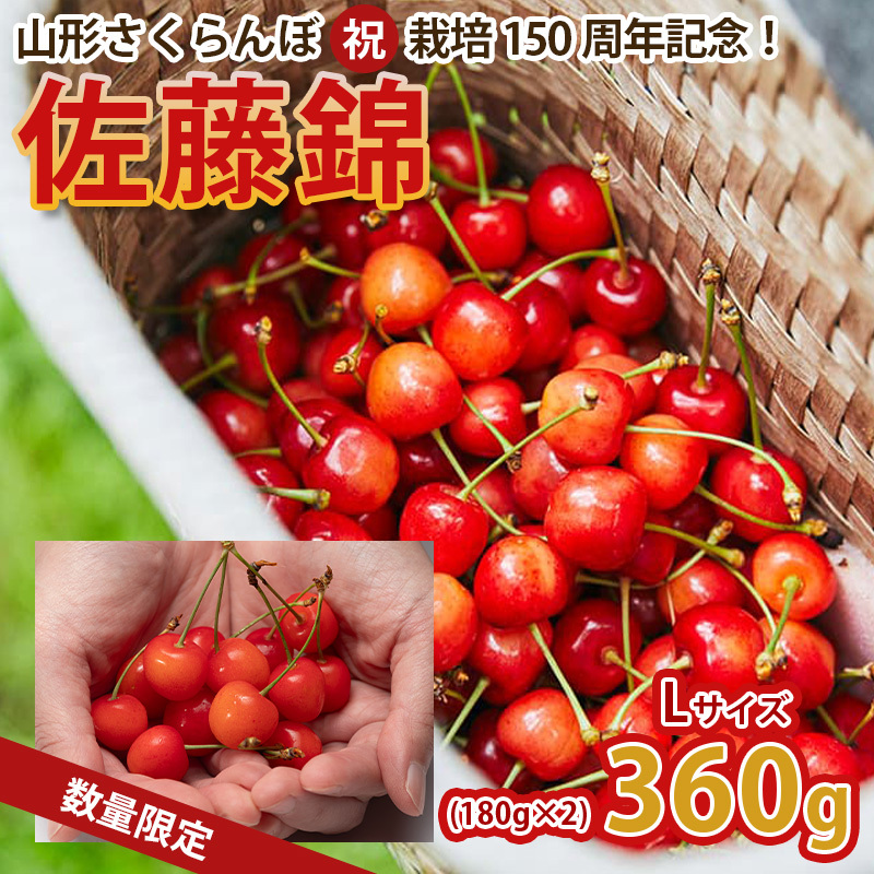 山形さくらんぼ (祝)栽培150周年記念!佐藤錦 360g(180g×2パック) L玉 数量限定!【令和8年産先行予約】FS25-061山形県山形市15000果物・フルーツさくらんぼ