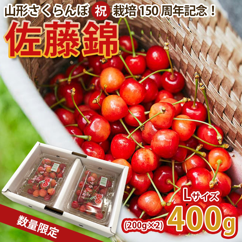 山形さくらんぼ (祝)栽培150周年記念!佐藤錦 400g(200g×2パック) L玉 数量限定!【令和8年産先行予約】FS25-067山形県山形市16000果物・フルーツさくらんぼ