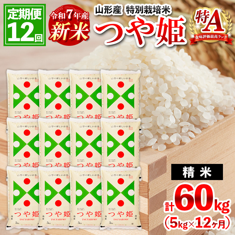 y2Jnz y12z s\ ߘa7NY V R`Y ʍ͔| P 5kg×12(v60kg) FY25-348R`R`s190000āEp
