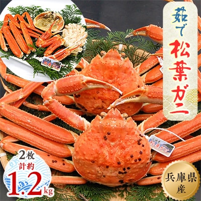 松葉ガニの本場より プロ茹で松葉ガニ(冷凍) 約600g×2枚【配送不可地域:離島】【1062956】兵庫県新温泉町125000魚介・海産物カニ
