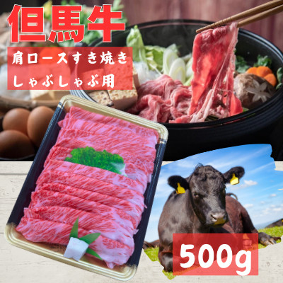An@[XXCX@(500g)yzsnFzy1072495zɌV31000