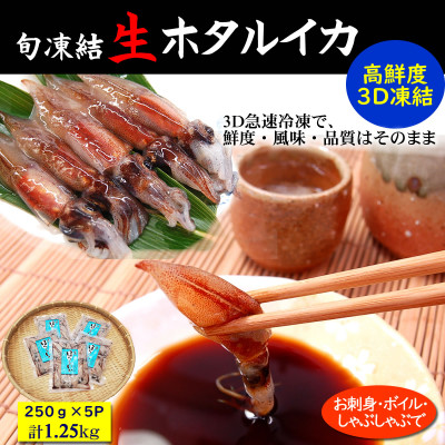 旬凍結ホタルイカ 小分け約250g×5パック【3D凍結】兵庫県浜坂産 生食可 お刺身 しゃぶしゃぶに【配送不可地域:離島】【1091431】兵庫県新温泉町12000魚介・海産物イカ・タコ・ウニ