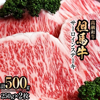 但馬牛サーロインステーキ2枚入り【250g×2】【配送不可地域:離島】【1098414】兵庫県新温泉町54000肉牛肉