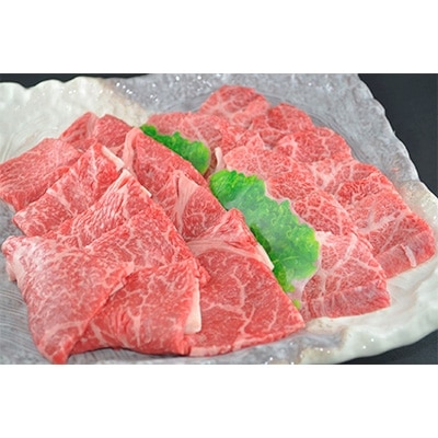 【但馬牛専門店】がお届けする!但馬牛 食べ比べセット(焼肉用)1kg【配送不可地域:離島】【1105968】兵庫県新温泉町54000肉牛肉